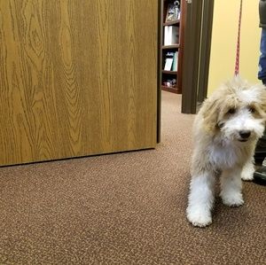 Meet your Posher, Diane